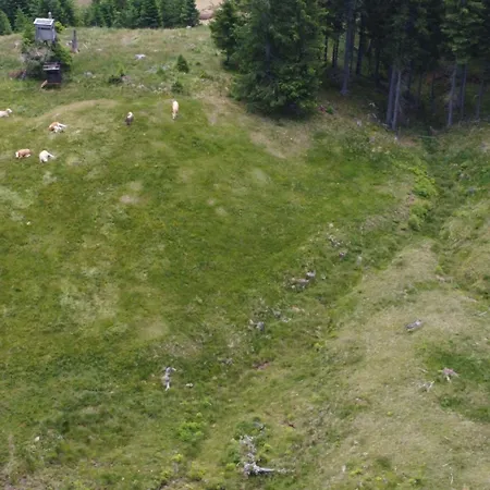 Alpentraum In Klippitztoerl By Interhome * Klippitztorl