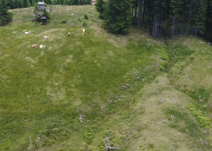 Alpentraum In Klippitztoerl By Interhome * Klippitztorl